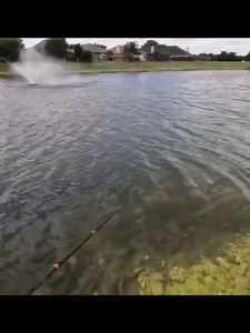 Two monster bass on one cast – the craziest fishing video ever captured