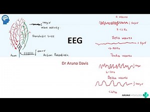 EEG| Electroencephalogram| Waves & Uses | NeuroPhysiology | First year MBBS