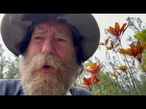 Nature Unleashed: Off Grid Life Put to the Test