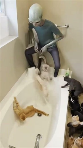 This alien tried putting 50 cats into a bathtub! #alien #weird #cats