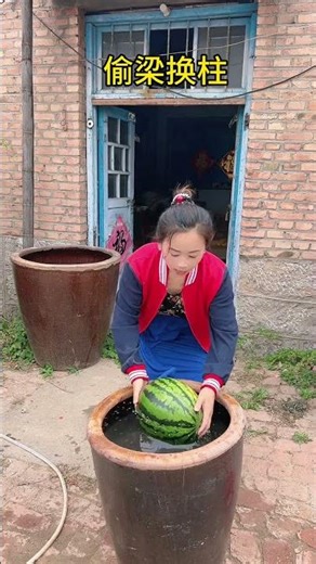 Substituting One Thing For Another #funny #Connotation jokes #life