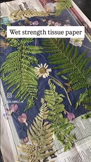 Cyanotype Dollhouse Makeover | Unique alt process photography renovation 2