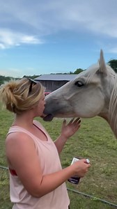 After a year, this guy is ready for his new home. He will be sooooo spoiled. It doesn’t matter if they are $5000 horses, if they’re unwanted, they’re still unwanted. This baby was stepped on as young colt by his mom. Once the owners saw the severity of his injuries they didn’t have a need for him in their program. The vet called us to help, he worked with us to do the much needed surgery, giving this sweet baby a second chance and the opportunity to live out a happy life full of love and head sc