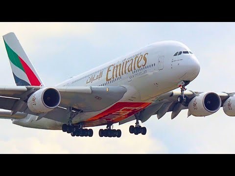 HEATHROW plane spotting at it's BEST | Day and Night spotting!