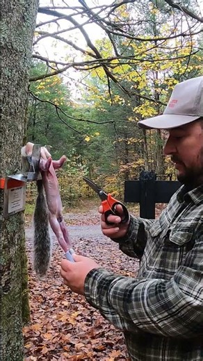 Easiest Way to Clean a Squirrel