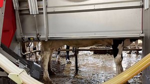 Technology in dairy industry continues evolving
