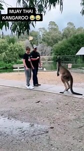 nee_want_na. | Yarden Saxophone