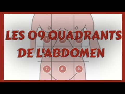 The 9 Quadrants of the Abdomen | The 9 Regions of the Abdomen