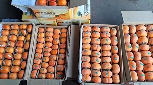 82K views · 1.6K reactions | November 29, 2025 सभी फलों के भाव today fruit market price APMC delhi fruit market #fruitmarket | Delhi Fruit Market | Facebook