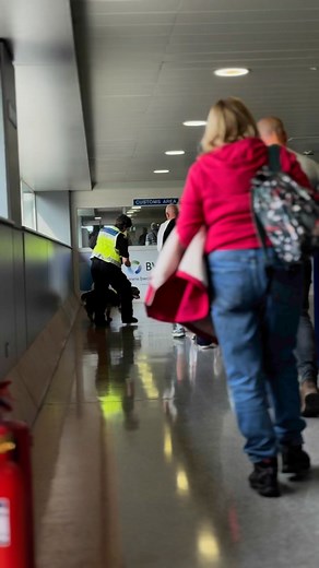 1.9M views · 37K reactions | Realistic training is so important for operational dogs, yesterday we were able to have a passenger that had travelled on the flight, carry live, real odour through the airport for the screening dogs to find, this meant he smelt the same as all the other passengers that had travelled on the flight, which is key, needless they did brilliantly! #customsdetection | Endeavour Canine | Facebook