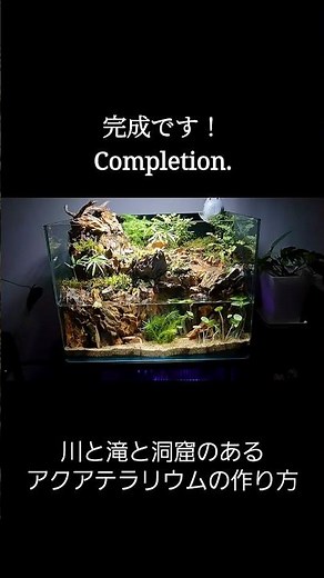 10秒で見るアクアテラリウムの作り方(川と滝と洞窟のあるアクアテラリウム)#アクアテラリウム #滝のある暮らし #DIYインテリア #癒し空間 #水景レイアウト