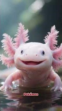 Top 5 Cutest Exotic Pets in the World (You Won’t Believe #1 😍)