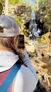 Looking for a spring stroll just south of the White Mountains? Pay a visit to the picturesque Page Pond Community Forest in Meredith, NH. 🥾🌿 Read our latest blog for other Spring Walks in the Woods. 🔗 in Story. #whitemountains #springwalks #meredithnh #lakesregionnh #visitnh #discoveryournew #getoutside #whitemountainsnh | White Mountains New Hampshire
