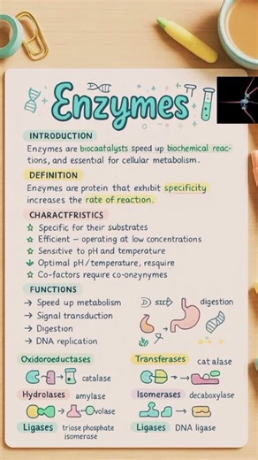 Enzymes#class11biology #biology #science #education