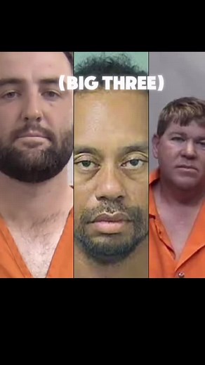 📈 Win Big with Expert Insights! Get Polymarket’s Best Picks on Telegram! 💵✅ #polymarketinsider