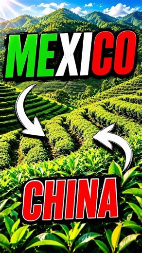 I found MEXICO in CHINA (and it’s not what you think) 👀😲