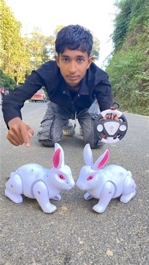 Remote control Tow rabbit tyo unboxing