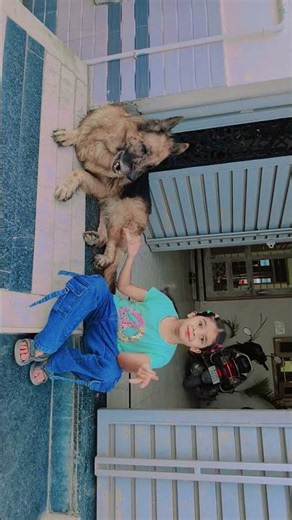 fun with dogesh Bhai 🐕‍🦺😎 algorithm 🌐....... 💯