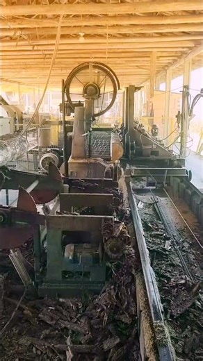 Sawmill Wood #sawblade #loglumber