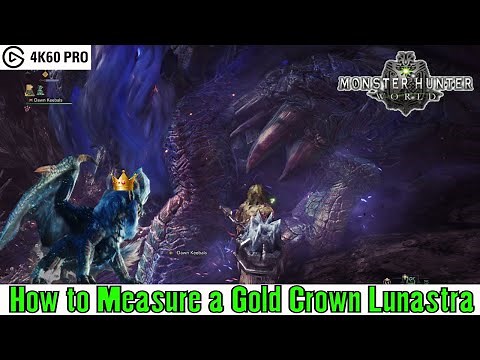 Monster Hunter: World - How to Measure a Gold Crown Lunastra (Elder Recess)