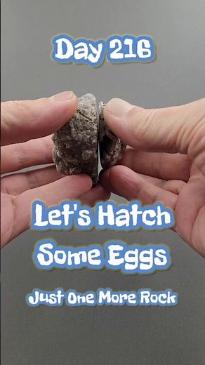 Can I go 1 Year? Day 216 Thunderegg Cut Challenge Daily Reveal 🐔🪨