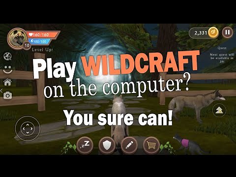 We PLAY WildCraft...on the COMPUTER!!!!