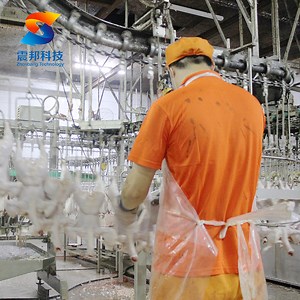 [Hot Item] Complete Poultry Slaughter Line with Advanced Processing Equipment and Automation