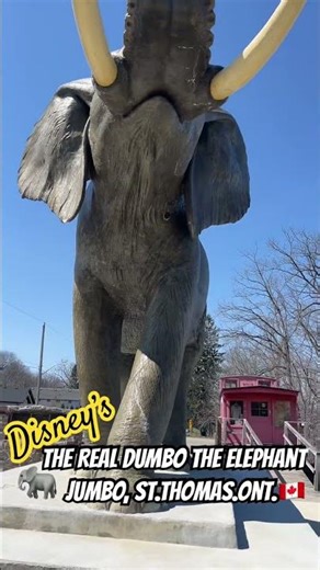 Disney got Dumbo from Jumbo the Elephant! Hit & killed by train in St.Thomas,Ont.🇨🇦Sept.15/1885