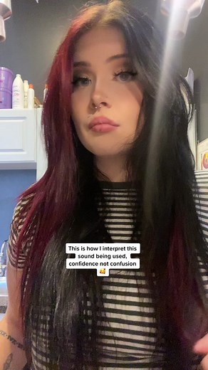 Interpreting Sound: Confidence vs Confusion