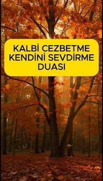 Tüm Kalpleri Sana Yöneltir | İbni Arabi'den Muhabbet ve Celb Duası