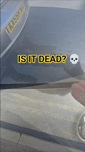 Thought my 65k RX-8 Engine was DEAD... 💀 (Compression Test)