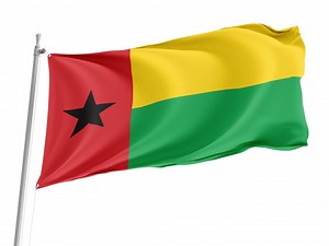 Guinea-bissau Flag: 3x5 Ft, Patriotic Design, Indoor/outdoor Use - Etsy