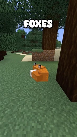 Did you know Foxes can pick up items? #minecraft #facts #shorts