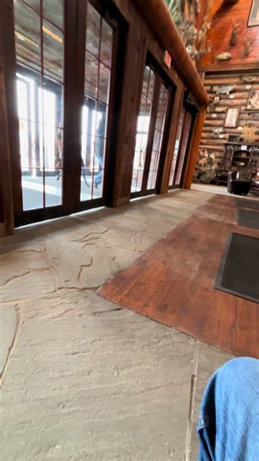 Cane Corso Stone's First Public Training Experience