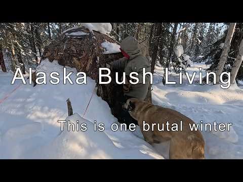 Alaska Bush Living - Let us show you remote bush life at 40 below zero Fahrenheit!
