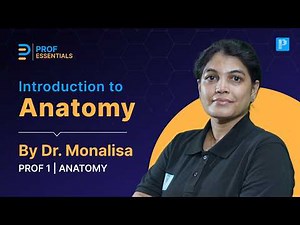 Anatomy Crash Course: Planes, Positions & Movements