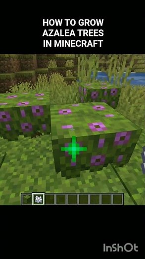 How to grow azalea trees in minecraft! #minecraft #floweringtree