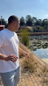 2.1M views · 47K reactions | Olympia Park Swimming Pool in Springs, Gauteng used to be a VERY popular place. It is 87 years old and has also been FORGOTTEN by the City of Ekurhuleni! Maintenance is NONEXISTENT! | Liam Jacobs | Facebook