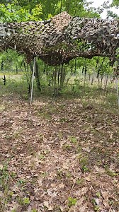 Marksmanship Training Center on Reels