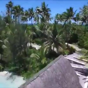 5.3K views · 119 reactions | Kristalhelder water ✔ Witte zandstranden ✔ Wuivende palmbomen ✔ Tahiti is een tropisch paradijs!  | Voyage Privé | Facebook