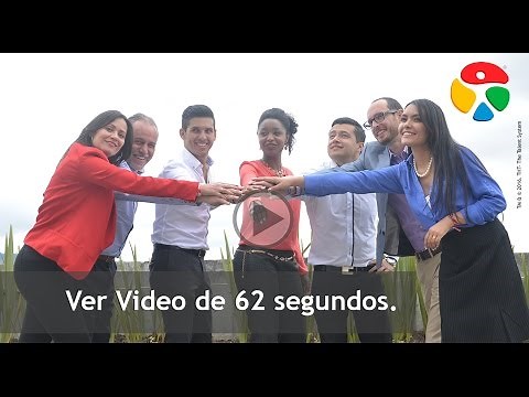 ¿Cómo lograr sinergia en un equipo?