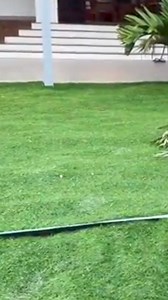 3.9K views · 157 reactions | Smart Bibi | Ratha MK | Facebook