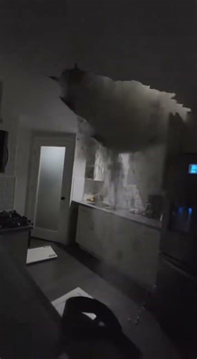 What did this automated security system capture while running unattended?