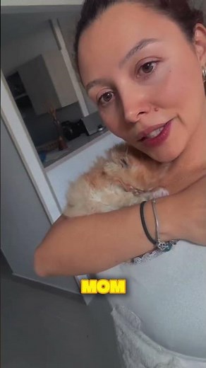 Why Cats Love Sleeping on Your Chest ❤️🐱