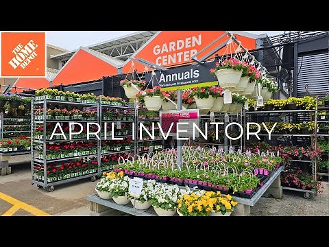 NEW ARRIVALS Home Depot Garden Center, SO GOOD! Inventory April 2025 Perennials, Shrubs, Evergreens