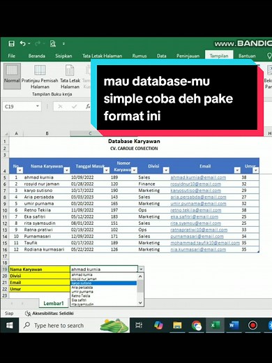 Cara Buat Database Karyawan Mudah di Excel
