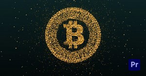 Bitcoin Cryptocurrency Logo Reveal