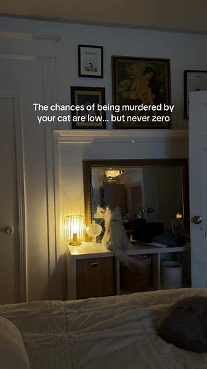 Cat Murder: Are the Odds Really Zero?