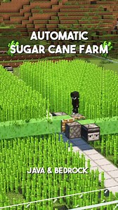 Minecraft Automatic Sugar can Farm 🎍 #minecraft #minecraftbuilds #minecrafttutorial | Humoky