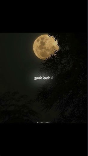 Kinna Sona [ Slowed & Reverb ] - Sunil Kamath | Bhaag Johnny | Kunal Khemu || Kashussayss